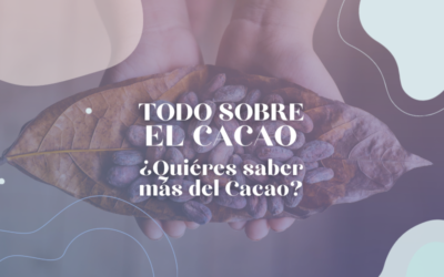 TODO SOBRE EL CACAO – ¿QUIERES SABER MÁS DEL CACAO?