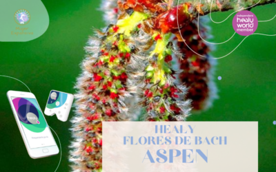 HEALY FLORES DE BACH – ASPEN