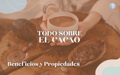 TODO SOBRE EL CACAO – BENEFICIOS Y PROPIEDADES